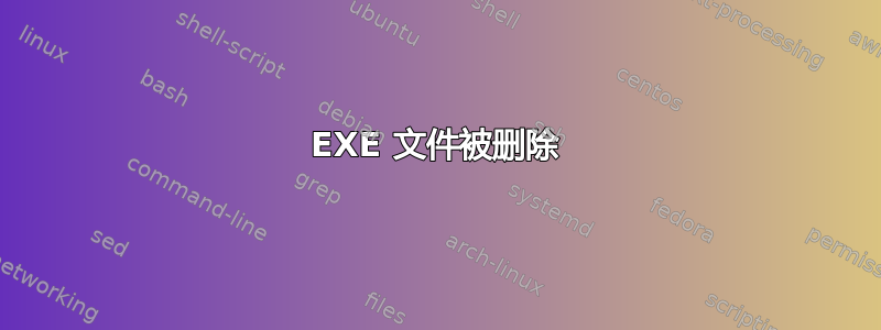 EXE 文件被删除