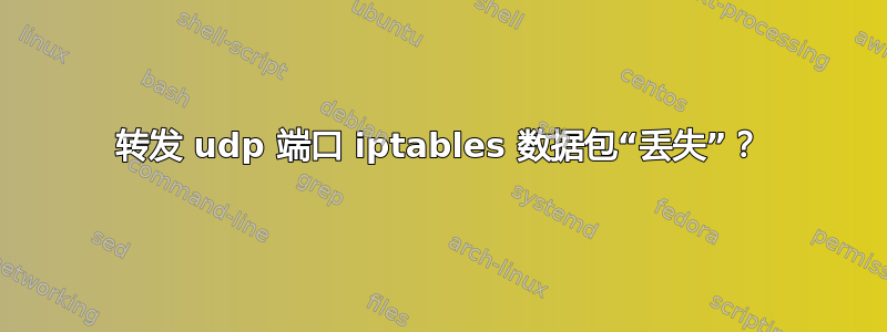 转发 udp 端口​​ iptables 数据包“丢失”？