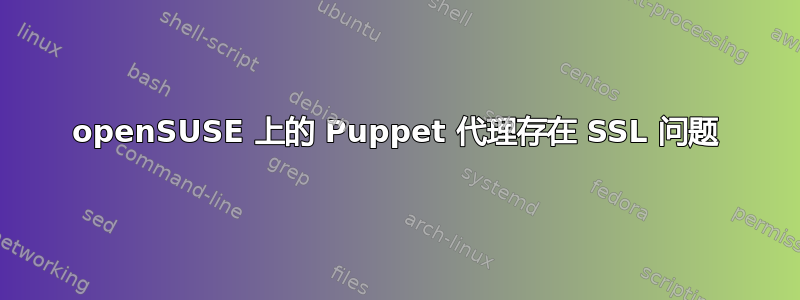 openSUSE 上的 Puppet 代理存在 SSL 问题