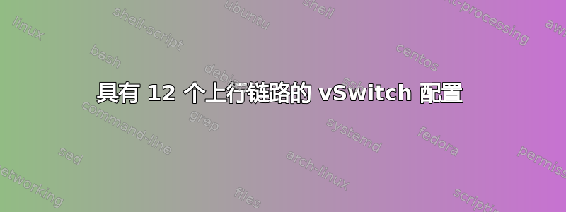 具有 12 个上行链路的 vSwitch 配置