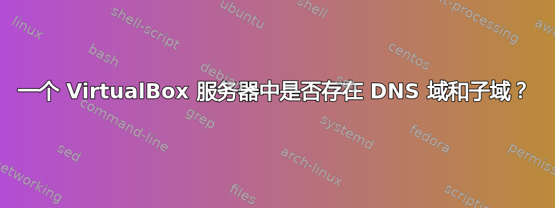 一个 VirtualBox 服务器中是否存在 DNS 域和子域？