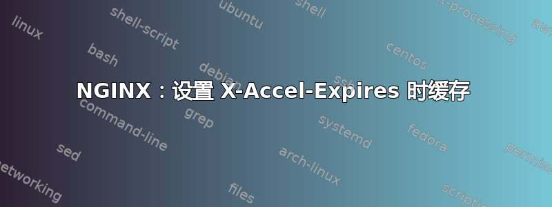 NGINX：设置 X-Accel-Expires 时缓存