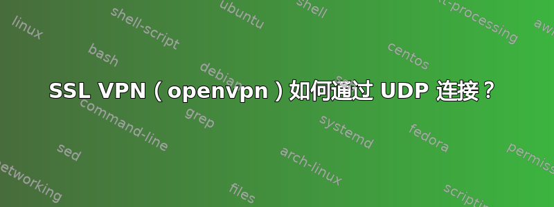 SSL VPN（openvpn）如何通过 UDP 连接？