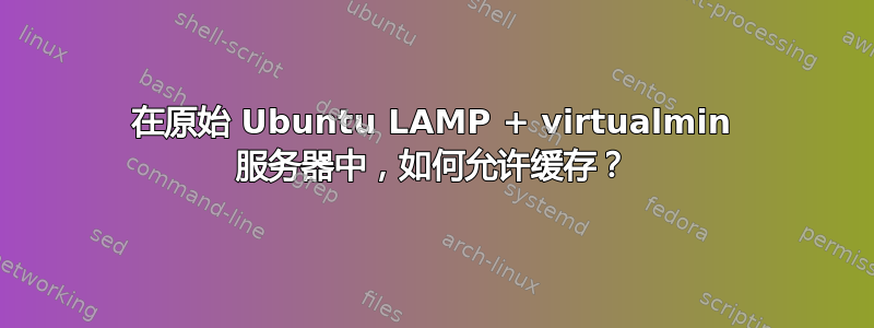 在原始 Ubuntu LAMP + virtualmin 服务器中，如何允许缓存？