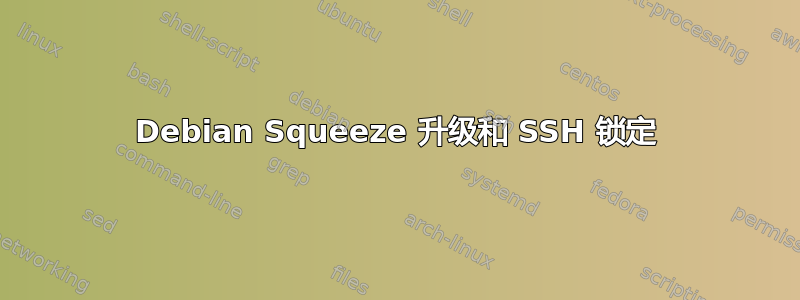 Debian Squeeze 升级和 SSH 锁定