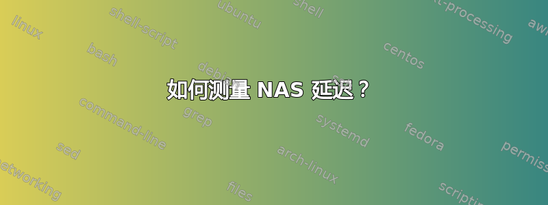 如何测量 NAS 延迟？