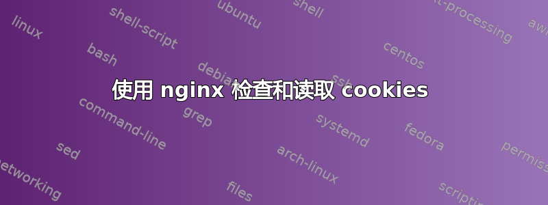 使用 nginx 检查和读取 cookies