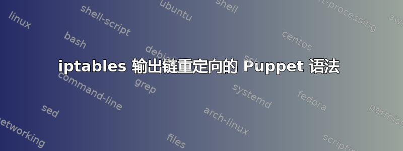 iptables 输出链重定向的 Puppet 语法