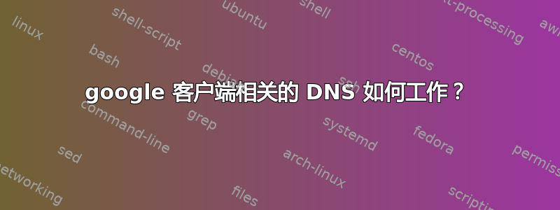 google 客户端相关的 DNS 如何工作？