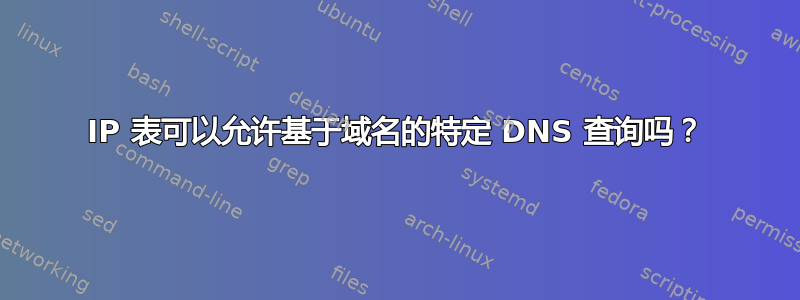 IP 表可以允许基于域名的特定 DNS 查询吗？