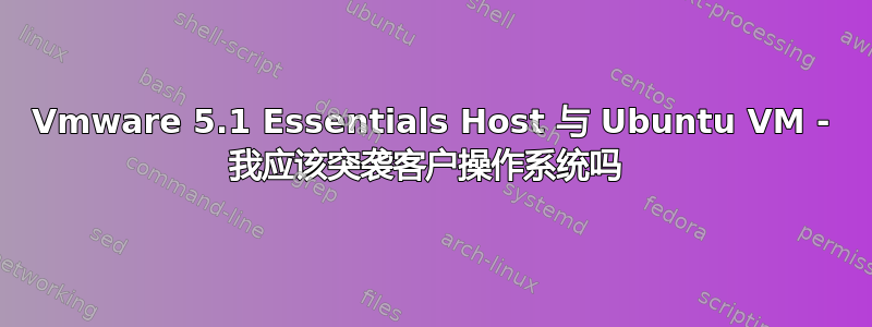 Vmware 5.1 Essentials Host 与 Ubuntu VM - 我应该突袭客户操作系统吗 