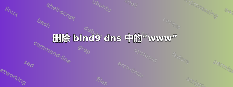 删除 bind9 dns 中的“www”