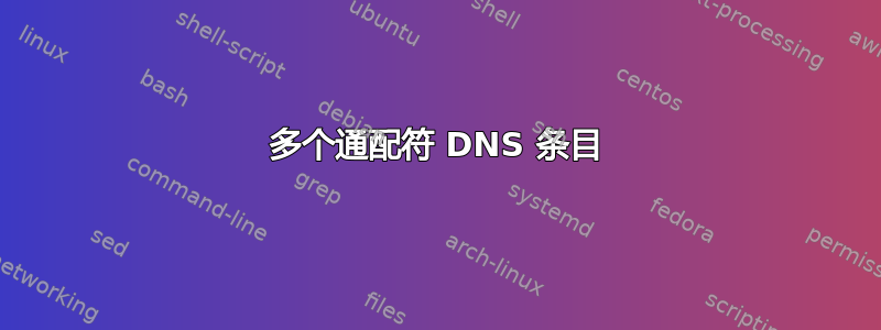 多个通配符 DNS 条目