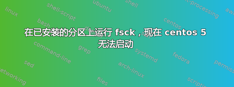 在已安装的分区上运行 fsck，现在 centos 5 无法启动