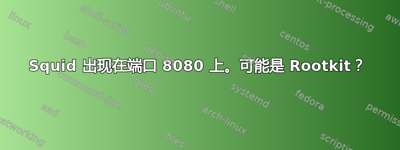 Squid 出现在端口 8080 上。可能是 Rootkit？