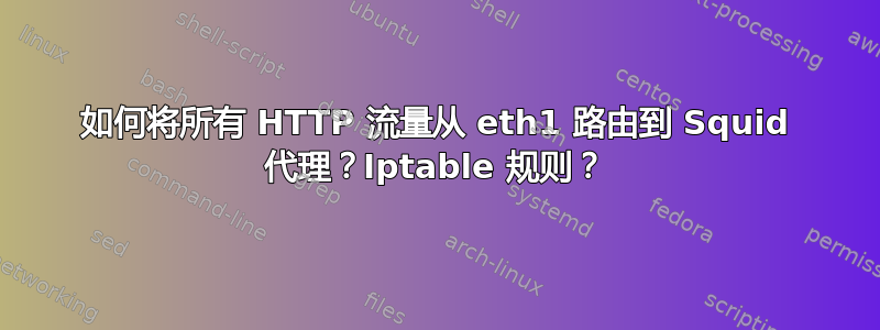 如何将所有 HTTP 流量从 eth1 路由到 Squid 代理？Iptable 规则？