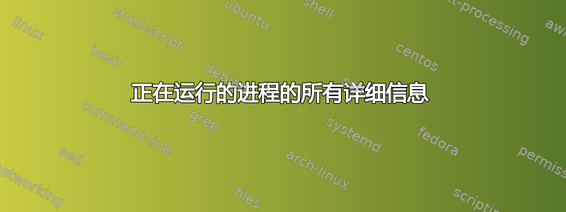 正在运行的进程的所有详细信息