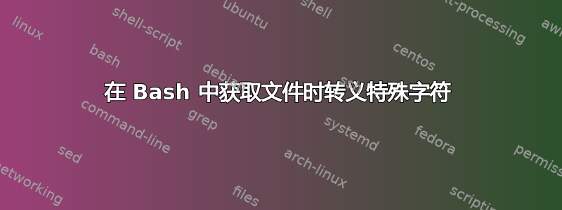 在 Bash 中获取文件时转义特殊字符