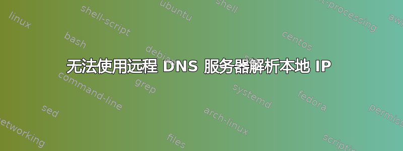 无法使用远程 DNS 服务器解析本地 IP