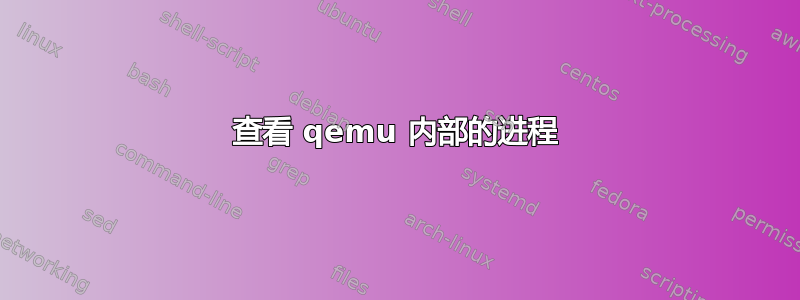 查看 qemu 内部的进程