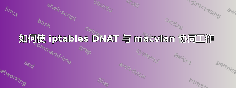 如何使 iptables DNAT 与 macvlan 协同工作