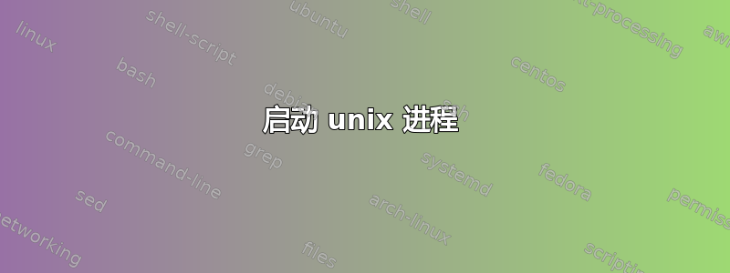 启动 unix 进程