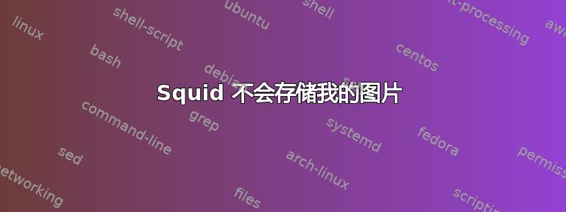 Squid 不会存储我的图片