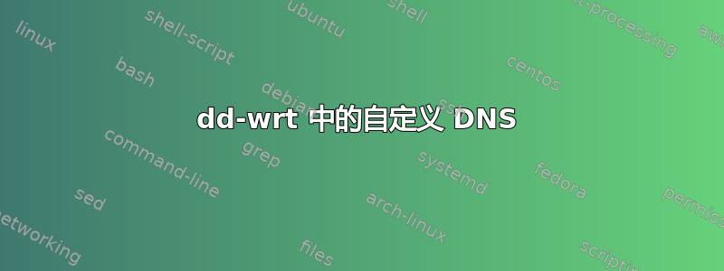 dd-wrt ​​中的自定义 DNS