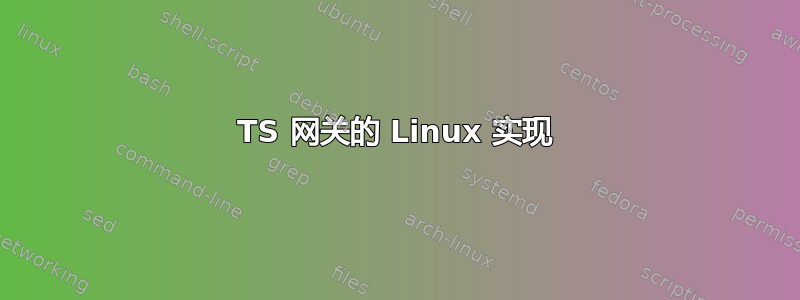 TS 网关的 Linux 实现