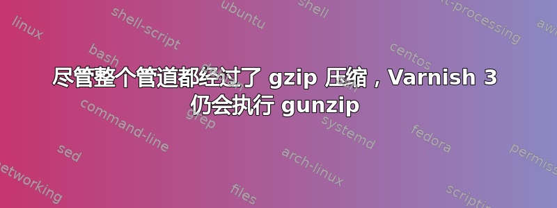 尽管整个管道都经过了 gzip 压缩，Varnish 3 仍会执行 gunzip