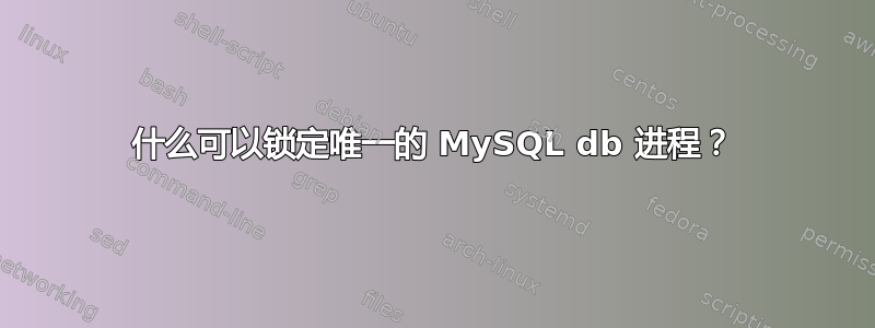 什么可以锁定唯一的 MySQL db 进程？