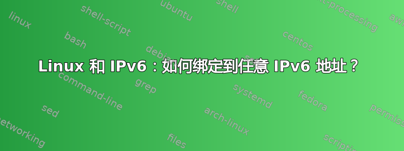 Linux 和 IPv6：如何绑定到任意 IPv6 地址？