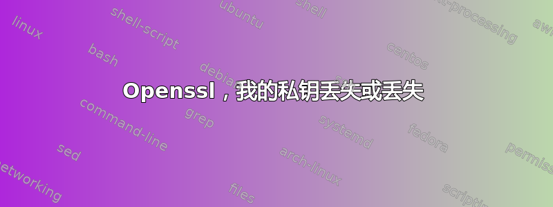 Openssl，我的私钥丢失或丢失