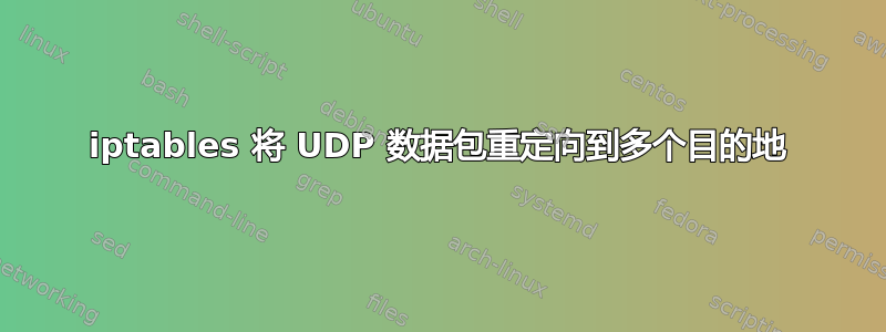 iptables 将 UDP 数据包重定向到多个目的地