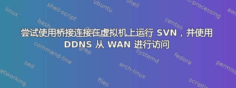 尝试使用桥接连接在虚拟机上运行 SVN，并使用 DDNS 从 WAN 进行访问