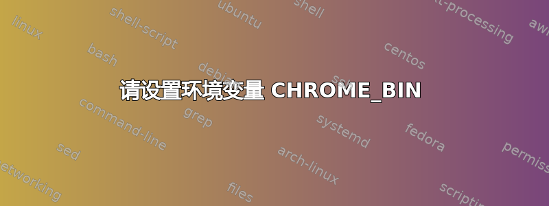 请设置环境变量 CHROME_BIN