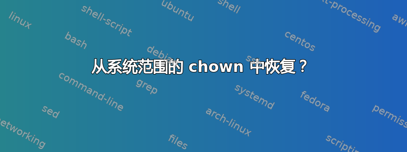 从系统范围的 chown 中恢复？