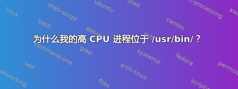 为什么我的高 CPU 进程位于 /usr/bin/？