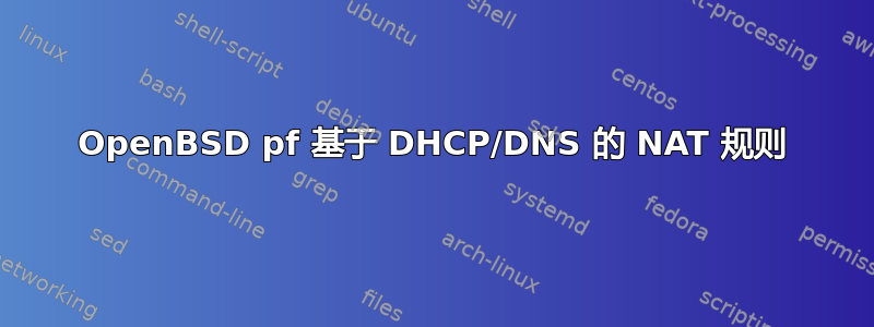 OpenBSD pf 基于 DHCP/DNS 的 NAT 规则