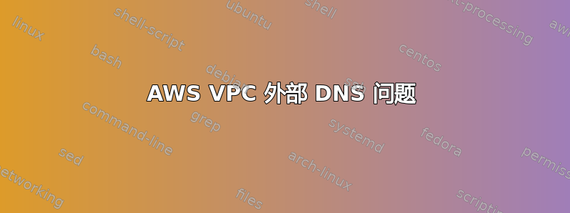 AWS VPC 外部 DNS 问题