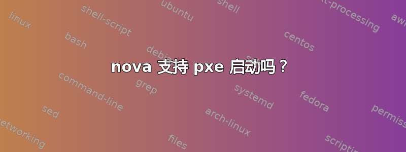 nova 支持 pxe 启动吗？