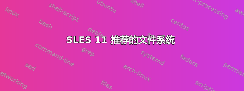 SLES 11 推荐的文件系统