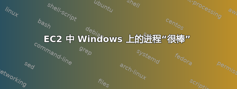 EC2 中 Windows 上的进程“很棒”