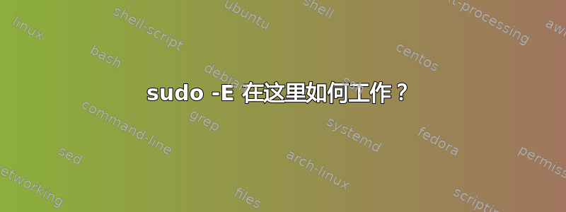 sudo -E 在这里如何工作？