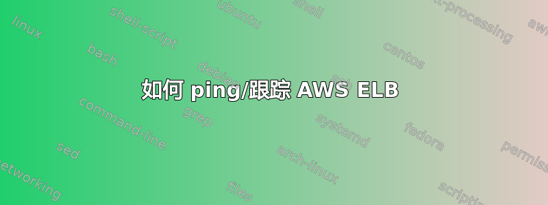 如何 ping/跟踪 AWS ELB