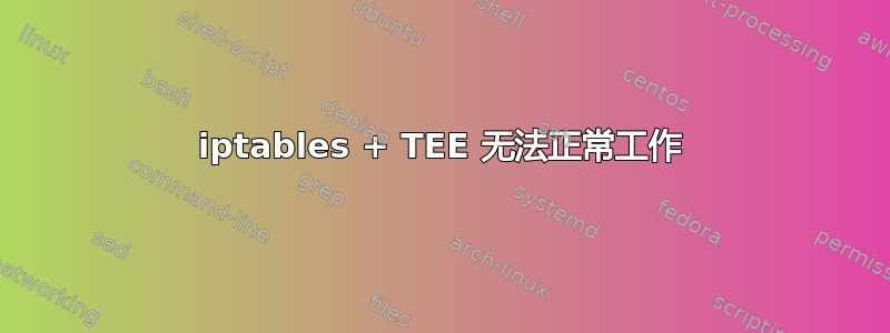 iptables + TEE 无法正常工作