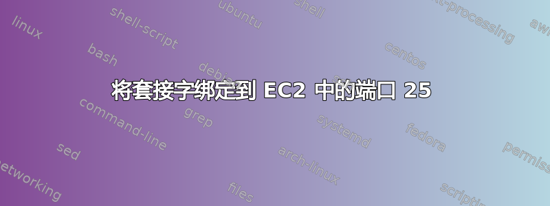 将套接字绑定到 EC2 中的端口 25