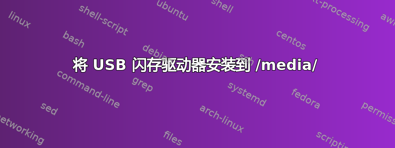 将 USB 闪存驱动器安装到 /media/