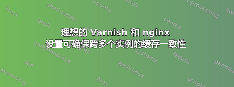 理想的 Varnish 和 nginx 设置可确保跨多个实例的缓存一致性