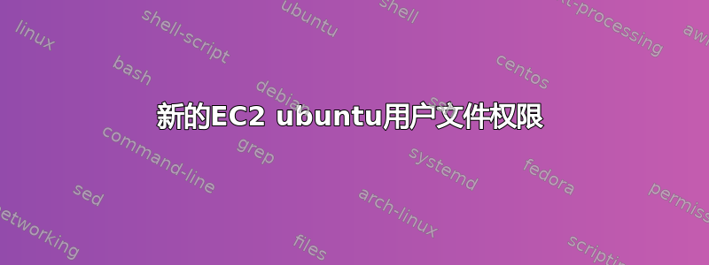 新的EC2 ubuntu用户文件权限